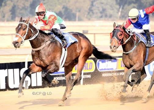 10981913_869194769825032_1331762401209829726_n