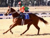 11206113_863028670441642_7469180946543545415_n