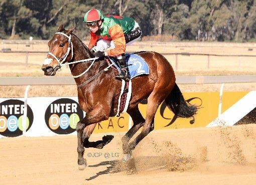 11407098_859551410789368_3711150279683596198_n