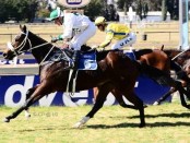 1376560_841551769255999_1060880966714653054_n