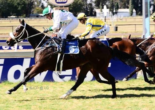 1376560_841551769255999_1060880966714653054_n