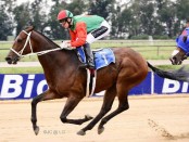 Trip_20Tease_2020150324_200798_2008